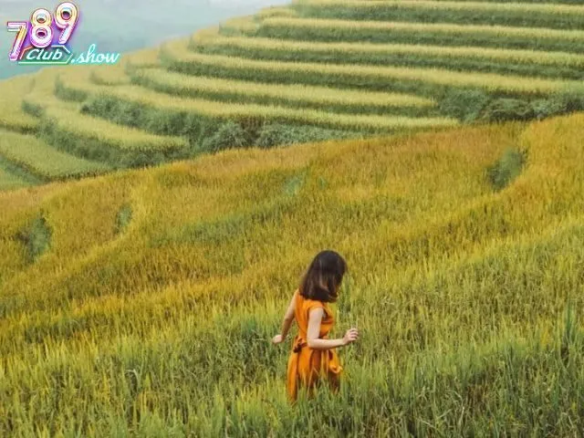 Chiêm bao thấy đi du lịch nước ngoài là điềm báo gì? Chiêm bao thấy đi du lịch nước ngoài là điềm báo gì?